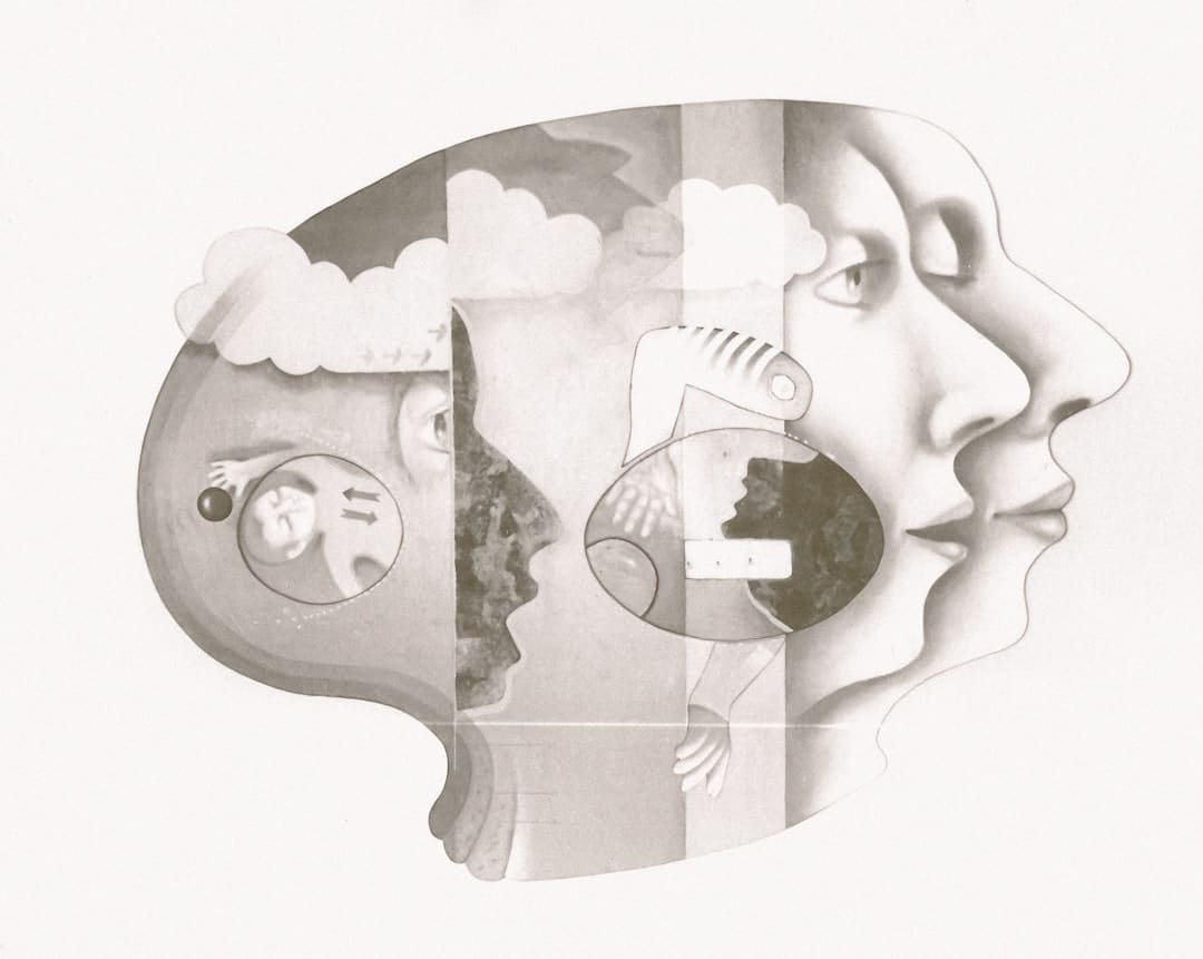 Illustration scientifique du cerveau humain montrant les zones impliquées dans l'équilibre émotionnel
